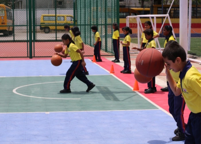 Multi-Sports Facilities