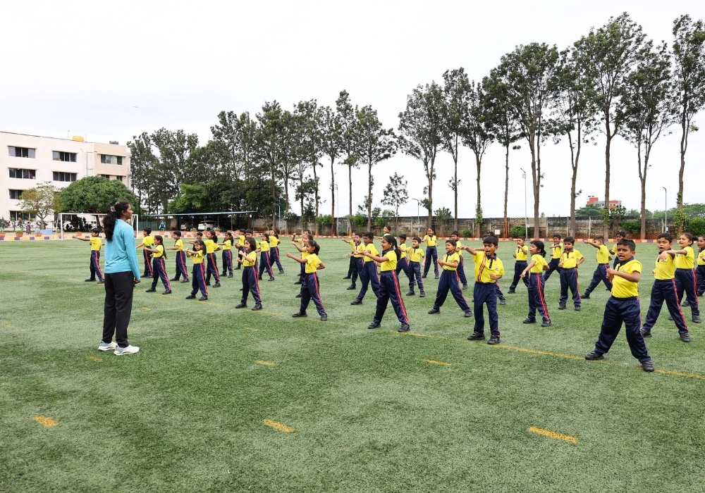 Students engaged in holistic learning activities